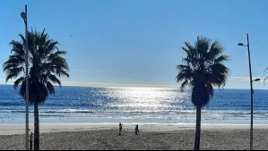 Ambiente cálido e intensos vientos en Coquimbo: Estas serán las temperaturas para jueves, viernes y sábado