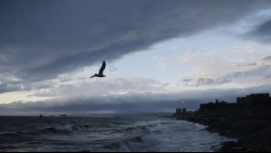 Marejadas en Valparaíso desde este fin de semana: Estas serán las temperaturas de sábado y domingo