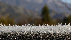 Emiten aviso por temperaturas gélidas y escarcha en dos regiones: Estas serán las zonas afectadas por heladas