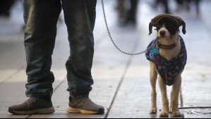 ¿Qué día suben las temperaturas en Chillán? Revisa el pronóstico de los próximos días