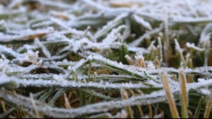 ¿Continuará el frío extremo en Santiago?: Así de 'amables' serán las temperaturas este viernes 9 de julio