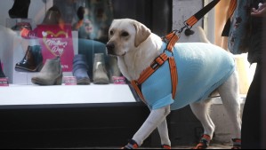 Helada en Rancagua durante el fin de semana: Conozca el pronóstico del tiempo actualizado para esta ciudad