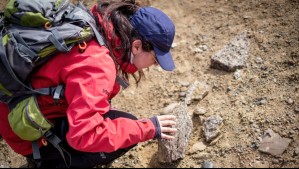 Investigadora chilena descubre en Magallanes vestigios del meteorito que provocó la extinción de los dinosaurios