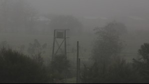 Pronóstico de niebla para este martes 13 de agosto: ¿En qué se diferencia de la neblina?