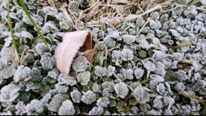 Heladas cubrirán a una región este miércoles: Estas son las ciudades que amanecerán con temperaturas bajo 0°C