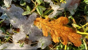 Heladas matinales en Temuco este fin de semana: Revisa las temperaturas para el sábado y el domingo