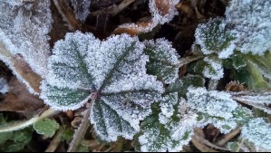 Temperaturas bajo 0°C en cuatro regiones: Estas son las ciudades en las que hará más frío este sábado