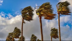Viento de hasta 100 km/h activa alerta en estas dos regiones a partir de este martes