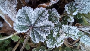 Hasta 11 regiones amanecerán con heladas este viernes: Las temperaturas podrían llegar a -4°C