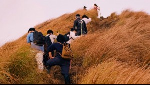 Cuatro días de viento moderado en estas dos regiones: Estos serán los sectores afectados