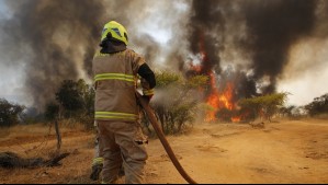 Declaran en emergencia a 13 regiones por probables incendios forestales: Estas corren mayor riesgo