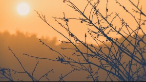 Dirección Meteorológica de Chile: Así estará el tiempo en septiembre