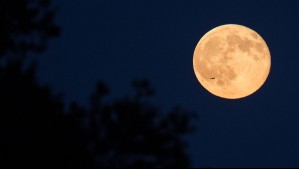 Una nueva superluna: En septiembre llegará la Luna de la Cosecha
