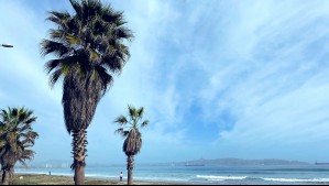 Lunes con llovizna, niebla y viento en Norte Chico: Este es el pronóstico del tiempo para Atacama y Coquimbo