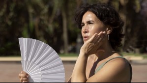 Así será la primavera en Santiago: Menos lluvias y temperaturas máximas sobre lo normal