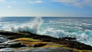 ¿Llegará La Niña en primavera? Esta es la probabilidad para los meses de septiembre, octubre y noviembre