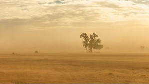 Viento y probables tormentas de arena  impactarán a dos regiones durante cuatro días: ¿Cuáles serán las zonas afectadas?