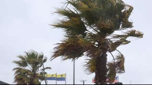 Regresa el viento de hasta 40 km/h en Biobío: Estas serán las localidades afectadas los próximos días