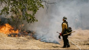 Incendios forestales son una amenaza cada vez mayor para la calidad del aire: Así se combatirán en Biobío