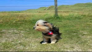 Nuevo sistema frontal de este viernes traerá lluvia y viento a estas regiones: Este será su recorrido
