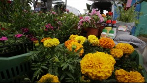 ¿Qué día se produce el equinoccio de primavera? A esta hora se dará oficialmente el cambio de estación