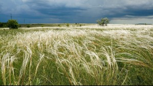 Alertan por vientos de hasta 100 km/h y tormentas de arena que azotarán a esta región durante dos días