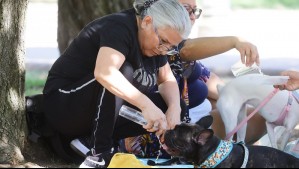 Hasta los 36°C en plena primavera: Se disparan las temperaturas en estas tres regiones del país