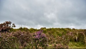 Viento y cielo cubierto en el Norte Chico: Este es el pronóstico de 3 días para las regiones de Atacama y Coquimbo