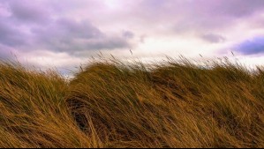 Hasta 70 km/h: Emiten alerta para esta región que será azotada por potentes vientos durante 24 horas