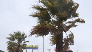 Máxima sobre los 20°C en esta localidad de Biobío: Pronóstico incluye también viento