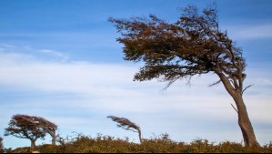 Meteorología emite aviso por viento moderado en sectores de la zona central: Estas serán las regiones afectadas