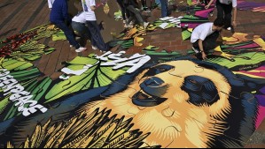 Greenpeace señala al cambio climático y la pérdida de biodiversidad como dos crisis 'interrelacionadas' Greenpeace señala al cambio climático y la pérdida de biodiversidad como dos crisis 'interrelacionadas'
