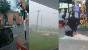 '100 milímetros de agua en una hora': Los impactantes videos de las inundaciones en Uruguay