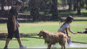 Estas cuatro regiones tendrán casi dos días con altas temperaturas: Meteorología emite advertencia