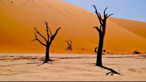 La OMM lanza advertencia por extremo calor en 2024: 'la humanidad está incendiando el planeta'