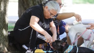 Lunes caluroso de casi 30°C: Así comenzará la semana en Santiago