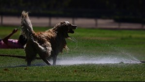 Se viene un día de altas temperaturas en plena primavera: Estas son las seis regiones que estarán bajo calor extremo