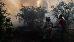 Alerta roja por incendios forestales: Todas estas comunas de Valparaíso son afectadas por el fuego