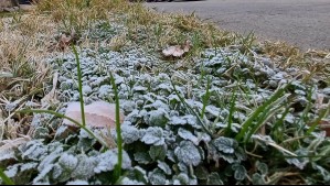 Pronostican heladas en estas regiones durante varios días seguidos: Así bajarán las temperaturas