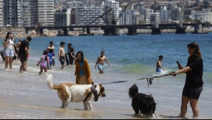 Días soleados y viento en la costa: Pronóstico de tres días para la región de Valparaíso