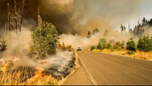 ¿Qué es el viento Puelche que aumenta el riesgo de incendios forestales en verano?