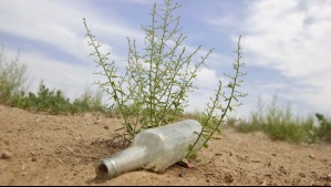 NOAA advierte por altas temperaturas y alerta sobre sequía en América del Sur: Incluye a Chile