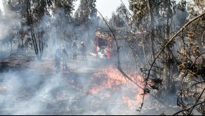 Vinculan 1,5 millones de muertes anuales a la contaminación del aire por los incendios: Aumentarían por cambio climático Vinculan 1,5 millones de muertes anuales a la contaminación del aire por los incendios: Aumentarían por cambio climático