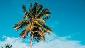 Así estará el fin de semana en Valparaíso: Diciembre arranca con viento en la costa