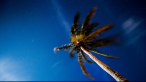 Viento de hasta 40 km/h azotará a todas estas localidades de Biobío este lunes