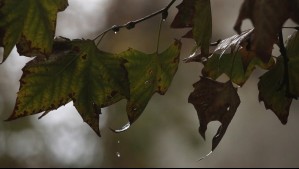 'Régimen anticiclónico' dejará sin lluvias a casi todo el país: Sólo aquí caerán algunas gotas con suerte