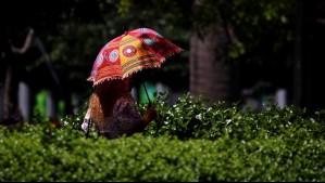 Las lluvias harán una pausa en Biobío: Este es el pronóstico del tiempo para Concepción el fin de semana