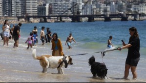 Valparaíso y Viña del Mar con vientos de hasta 40 km/h: Así comenzará este fin de semana en el litoral central