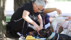Calor extremo en la Región Metropolitana: Este será el día más caluroso de la próxima semana