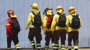 Alerta en O'Higgins por amenaza de incendios forestales este lunes: Estas son las recomendaciones de Senapred